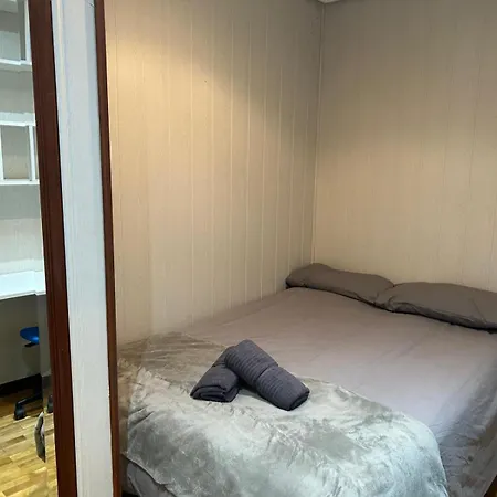 Coqueto اوفيدو